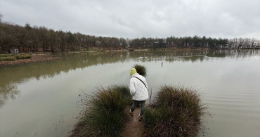 Korugöl Tabiat Parkı: Doğaseverlerin Yeni Gözdesi