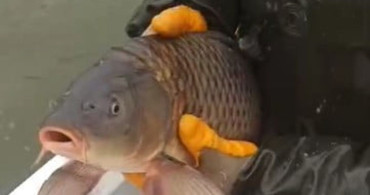 Kovada Gölü'nde Kaçak Balık Avcılığına Geçit Yok