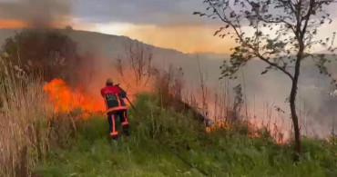 Kovancılar'da Otluk Alanda Yangın Paniği