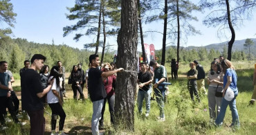 Köyceğiz'de yüksekokul öğrencileri uygulamalı eğitim gerçekleştirdi