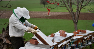 Köyde Arıcılığın Destanı: Herkesin Bir Kovanı Olsun Projesi