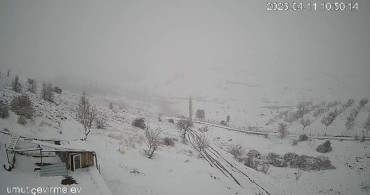 Köyü Terk Eden Kurt Sürüsü Güvenlik Kameralarına Yansıdı