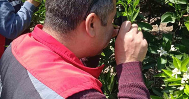 Kozan'da Biyolojik Mücadele Seferberliği