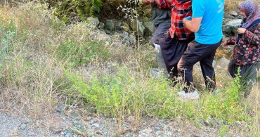 Kozan'da kayalıklardan düşen şahsı orman ekipleri kurtardı
