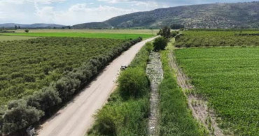 Kozan’da sarı nilüfer çiçekleri doğanın güzelliğini sergiliyor