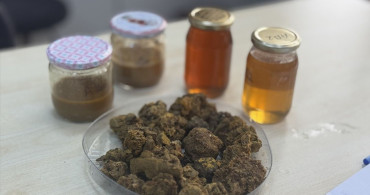 KTÜ APİMER ile Arı Ürünleri Araştırmaları Başlıyor