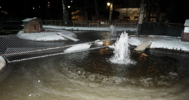 Kuğulu Park'taki Buzlu Manzara