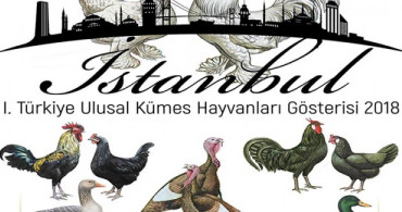 Kümes Hayvanları Gösteride Buluşuyor