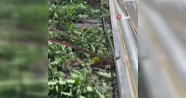 Kumluca'da Hortum Alarmı: Seralar Zarar Gördü