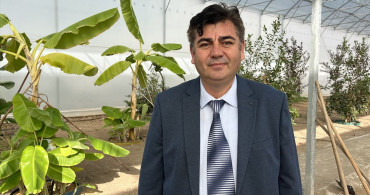 Kumluca'da Kahve Fidanı Deneme Ekimi Başlatıldı