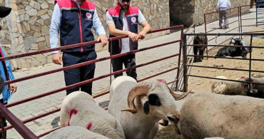Kurban Bayramı Öncesi Bozdoğan'da Denetimler Gerçekleşti