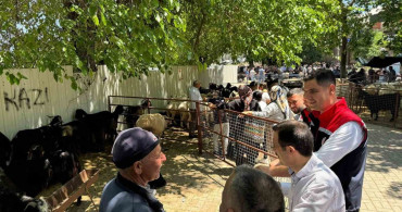 Kurban Bayramı Öncesi Bozdoğan'da Hayvan Pazarı Denetimi