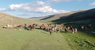 Kurban Bayramı Öncesi Dolandırıcılığa Dikkat!