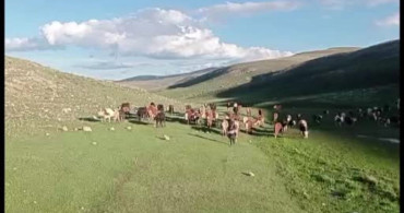 Kurban Bayramı Öncesi Dolandırıcılık Uyarısı