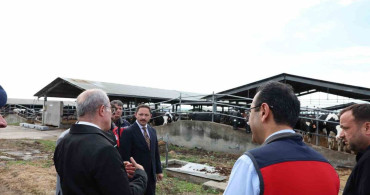 Kurban Bayramı Öncesi Hayvancılık İncelemesi