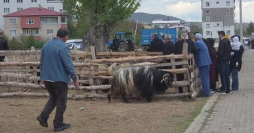 Kurban Bayramı Öncesi Sağlık Uyarıları