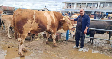 Kurban Bayramı Öncesi Satışta Şampiyon Tosun: Çakır