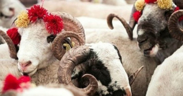Bilim Kurulu Üyesi Açıkladı; Kurban Bayramı'nda Kısıtlama Olacak mı?