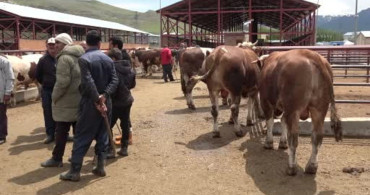 Kurban Eti Tüketimi İçin Uzman Uyarıları