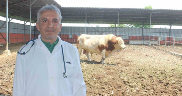 Kurban Kesiminde Dikkat Edilmesi Gerekenler