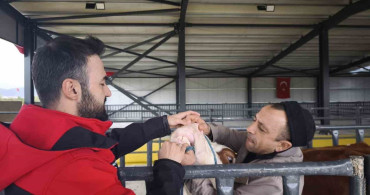 Kurbanlık Denetimleri Hız Kesmeden Devam Ediyor