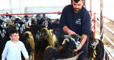 Kurbanlık Seçerken Dikkat Edilmesi Gerekenler