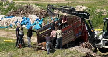 Kurbanlık Tosunun Kaçışı: 4 Saat Süren Kovalamaca