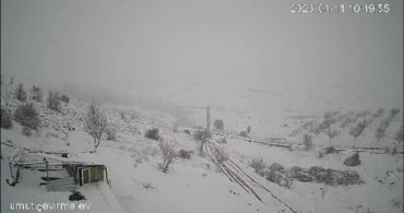 Kurt Sürüsü Köyde Kameralara Yansıdı