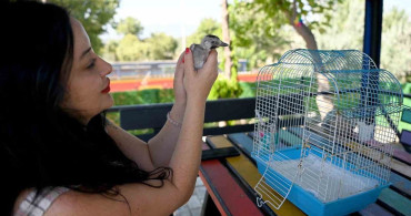 Kuşadası Belediyesi yuvadan düşen ala karga yavrusuna sahip çıktı