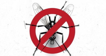 Kuşadası Belediyesi'nden Vektörle Mücadele Açıklaması
