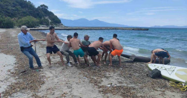 Kuşadası kıyısında 3,85 metrelik boz camgöz köpekbalığı bulundu