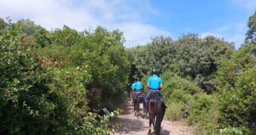 Kuşadası Milli Park'ta Atlı Jandarma Devriyesi Başladı