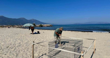 Kuşadası'nda duyarlı gençlerin ihbarıyla caretta caretta yuvası koruma altına alındı