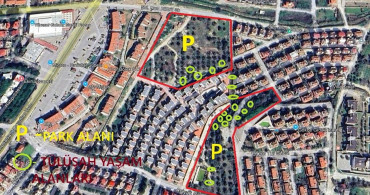 Kuşadası'nda Endemik Tülüşah Bitkisine Yapılan Tahribat İncelendi