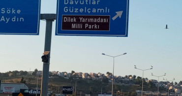 Kuşadası'nda Leylekler Geri Döndü