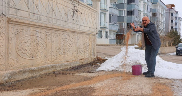 Kuşlar için 10 Ton Biyoçeşitlilik: Ahmet Özbek'in Hayvanseverliği