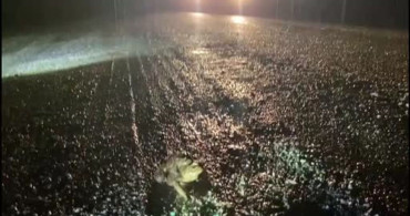 Kütahya'da 5 Bin Yıllık Kurbağa Göçü Yeniden Başladı