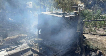 Kütahya'da alevler 11 paçalı güvercini telef etti