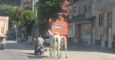 Kütahya’da atları motosikletine bağlayarak ilerleyen sürücü görüntülendi