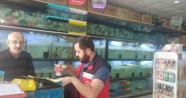 Kütahya'da Ev Hayvanı Satış Yerlerinde Denetimler Yapıldı