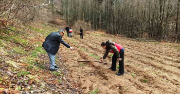 Kütahya'da Hibeli Ahududu Bahçelerine Saha Kontrolleri