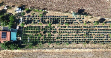 Kütahya'da lavanta bahçesi kırsal turizmin gözdesi oldu