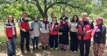 Kütahya'da organik tarım ve iyi tarım projeleri değerlendirildi