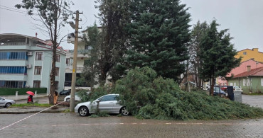 Kütahya'da Şiddetli Rüzgar Hayatı Olumsuz Etkiledi