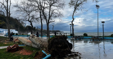 Kuvvetli Rüzgar Zonguldak ve Düzce'de Etkilerini Gösterdi