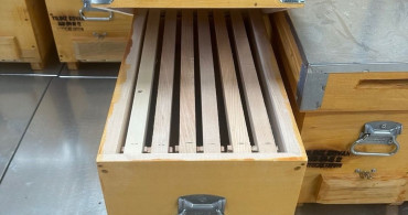 Kuyucak İle Dünyaya Açılan Arı Kovanı İhracatı