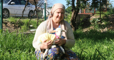 Kuzu Naciye ile Maceralar: Meliha Erten'in Sımsıcak Hikayesi