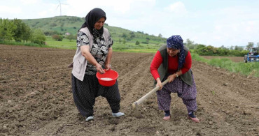 Ladik Fasulyesi Yeni Sezonda Üreticilerle Buluştu