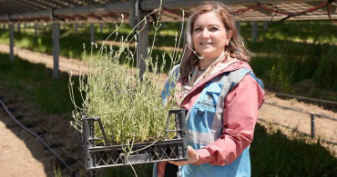 Ladik'te çiftçiler için enerji ve tarımı birleştiren model