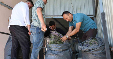Lavanta üreten kadın kooperatifine katma değer desteği